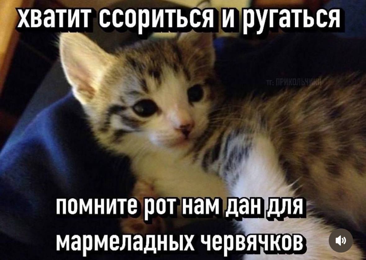 хватит ссориться и ругаться помните рот нам дан для мармеладных червячков