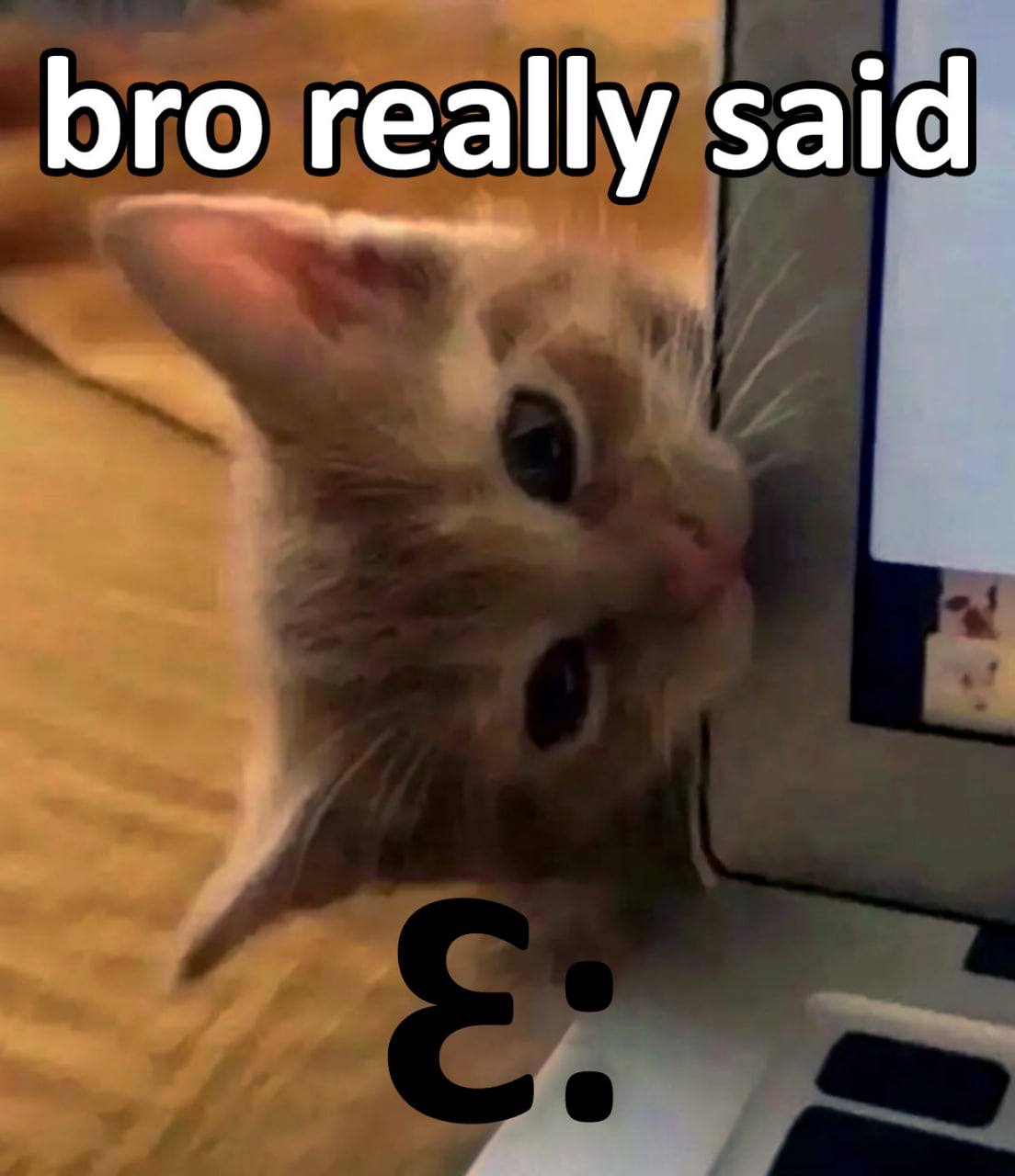 bro really said