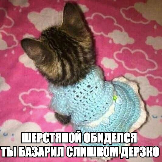 a ОБИДЕЛСЯ ТЫ БАЗАРИЛ АЗАРИЛ