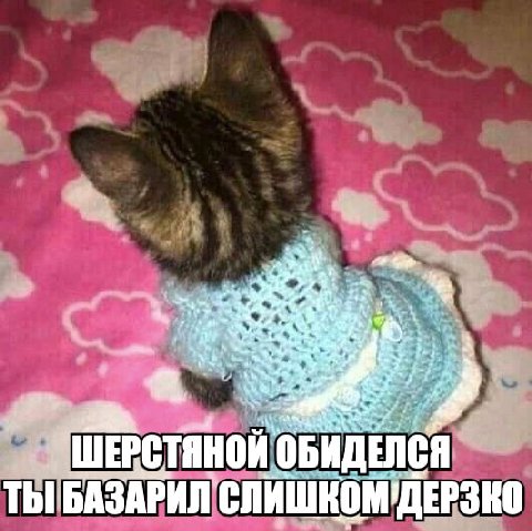 a ОБИДЕЛСЯ ТЫ БАЗАРИЛ АЗАРИЛ