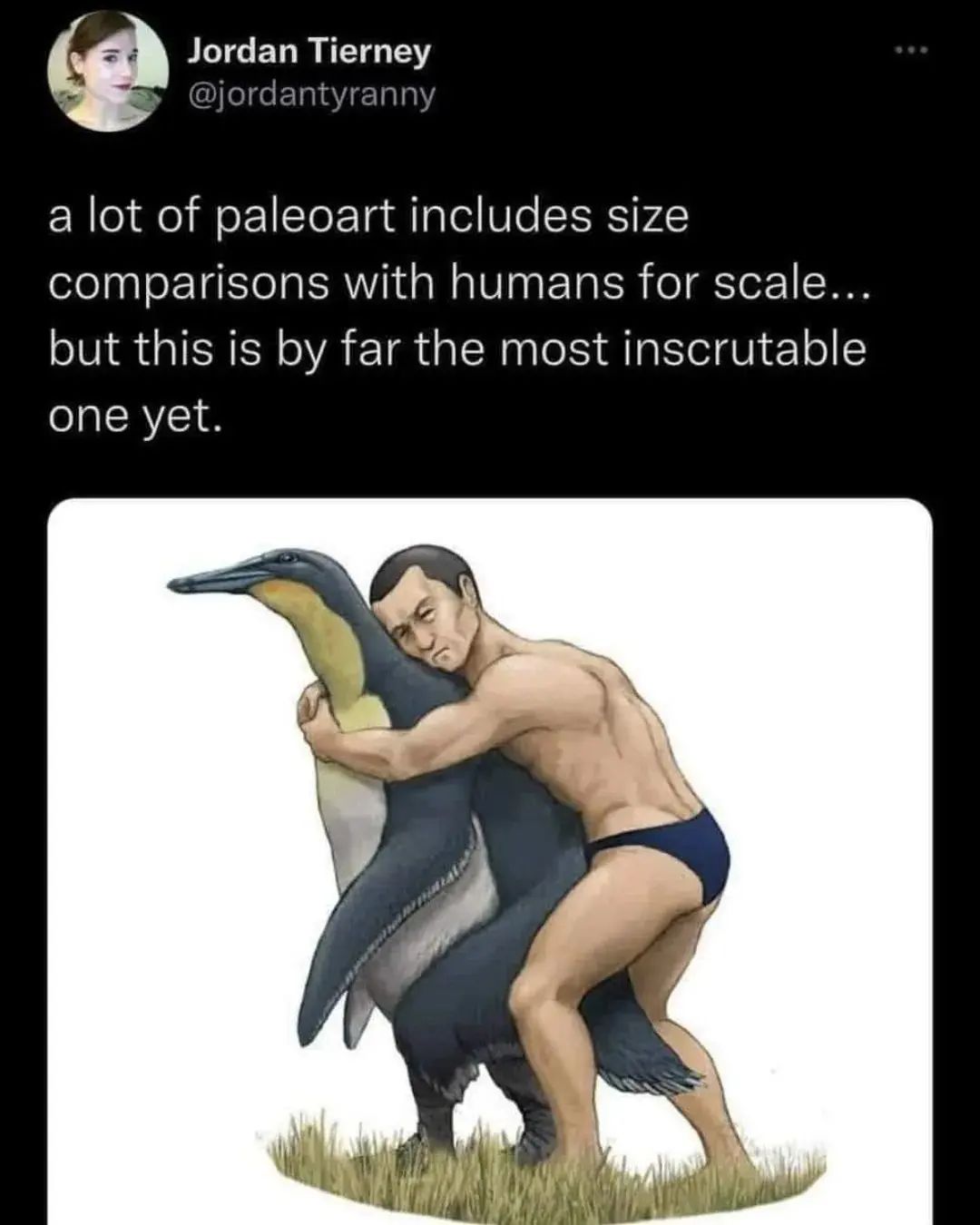Jordan Tierney @jordantyrann a lot of paleoart includes size comparisons with humans for scale... but this is far the most inscrutable one yet.