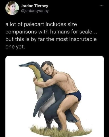 Jordan Tierney @jordantyrann a lot of paleoart includes size comparisons with humans for scale... but this is far the most inscrutable one yet.