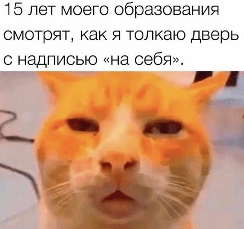 15 лет моего образования смотрят, как я толкаю дверь с надписью «на себя».
