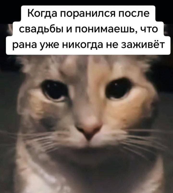 Когда поранился после свадьбы и понимаешь, что рана уже никогда не заживёт