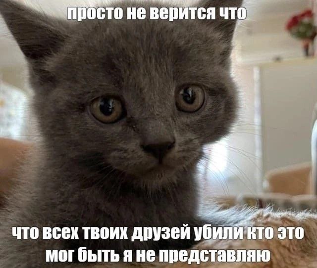 росто не верится что всех твоих друзей убили кто это мог быть я не представляю