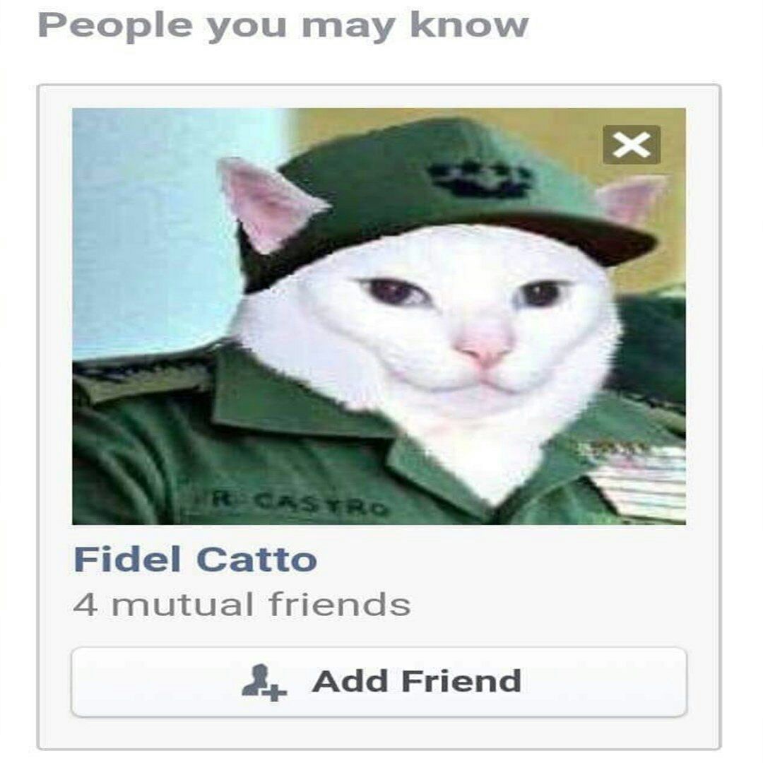 People you may know Fidel Catto A mutual friends 4, Add Friend