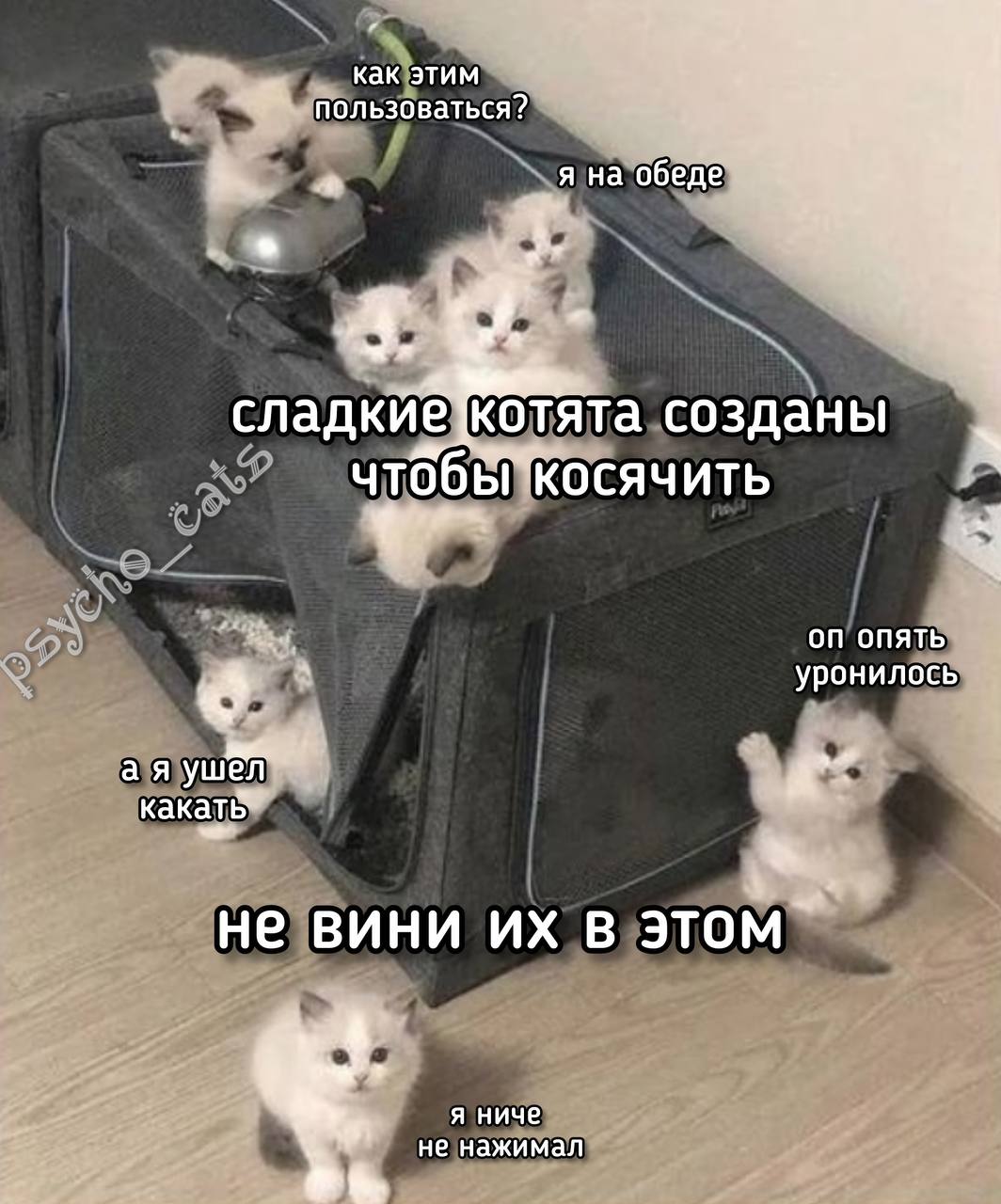 как этим пользоваться? я на обеде сладкй@ котята создан чтобы ОСЯЧИТЬ on ОПЯТЬ уронилось i 1 He В ЭТОМ я ниче не нажимал