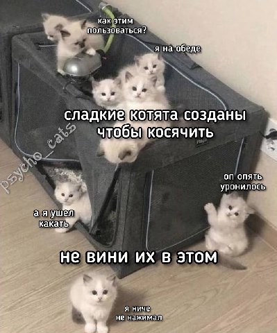 как этим пользоваться? я на обеде сладкй@ котята создан чтобы ОСЯЧИТЬ on ОПЯТЬ уронилось i 1 He В ЭТОМ я ниче не нажимал