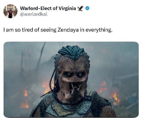 Warlord-Elect of Virginia @warlordkal Гат so tired of seeing Zendaya in everything