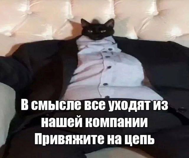 “3 4 В смысле все уходят из нашеи компании Привяжите на цепь