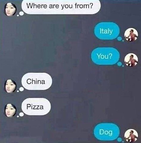 Italy You? Dog