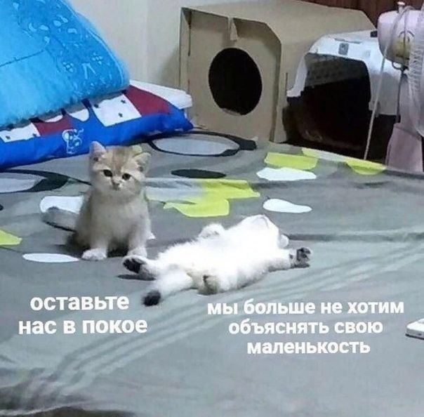 а or a way und оставьте мы больше не хотим нас в покое объяснять свою маленькость