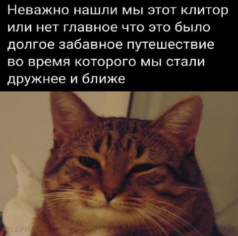 Неважно нашли мы этот клитор или нет главное что это было долгое забавное путешествие во время которого мы стали дружнее и ближе