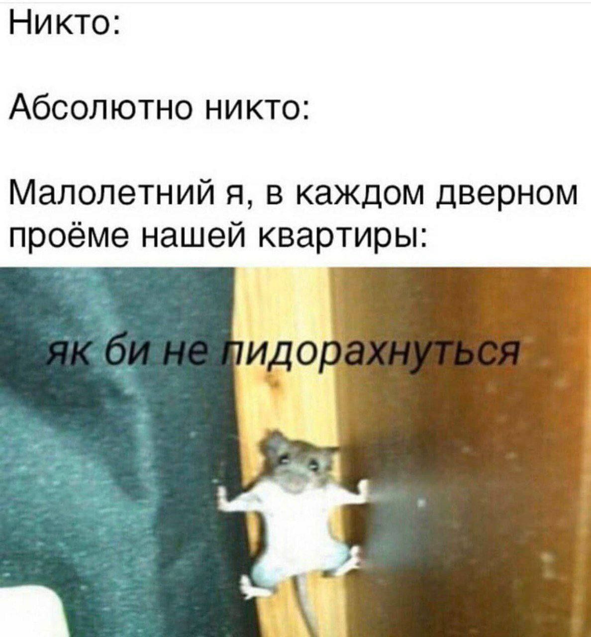Никто: Абсолютно никто: Малолетний я, в каждом дверном проёме нашей квартиры: