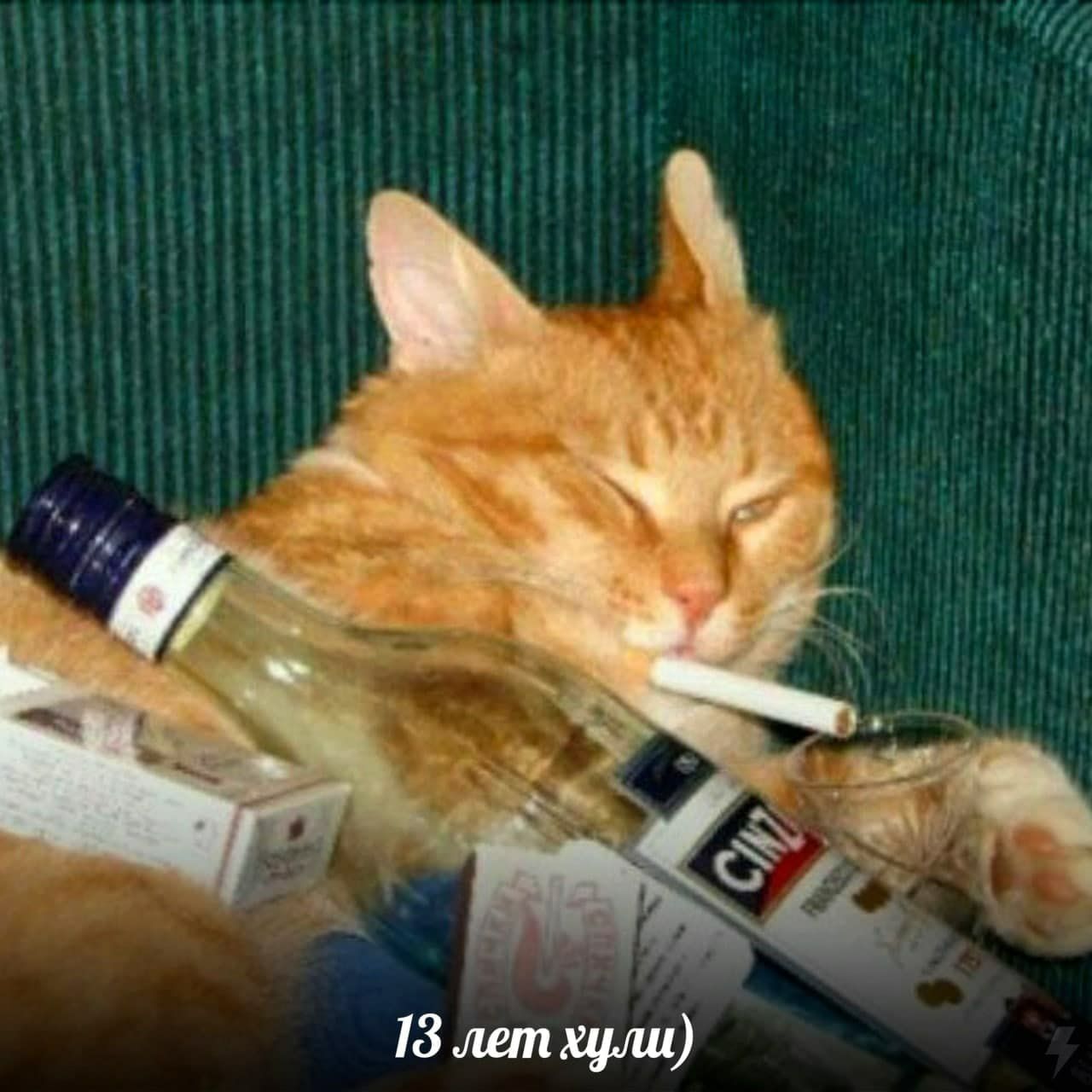 13 лет хули)