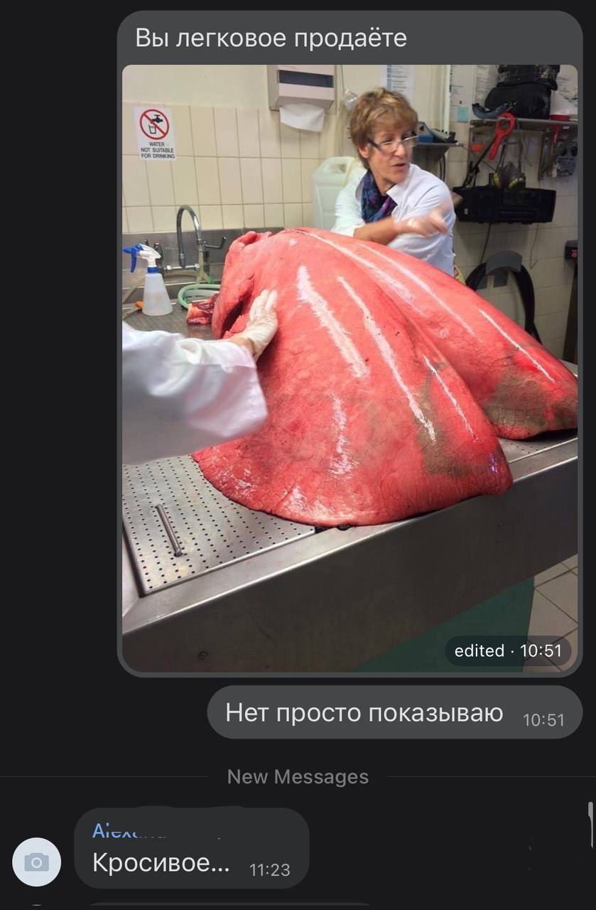 Вы легковое продаёте 8 edited Нет просто показываю New Messages Кросивое... 11:23