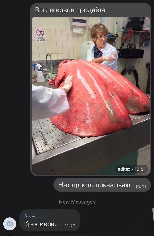 Вы легковое продаёте 8 edited Нет просто показываю New Messages Кросивое... 11:23