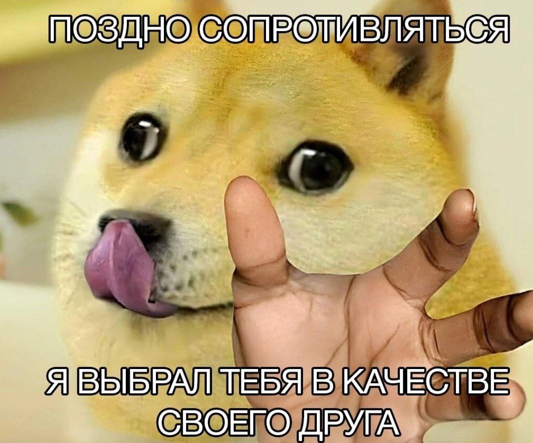 РАЛ ТЕБЯ В КАЧЕСТВЕ СВОЕГО ДРУГА