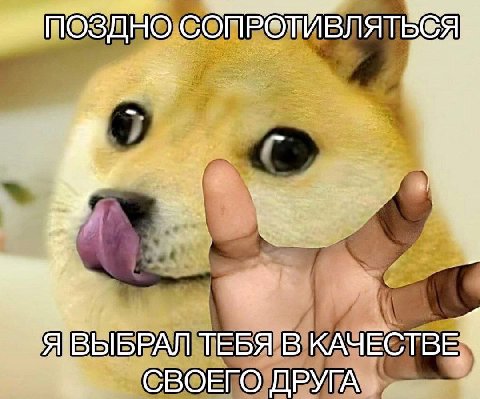 РАЛ ТЕБЯ В КАЧЕСТВЕ СВОЕГО ДРУГА