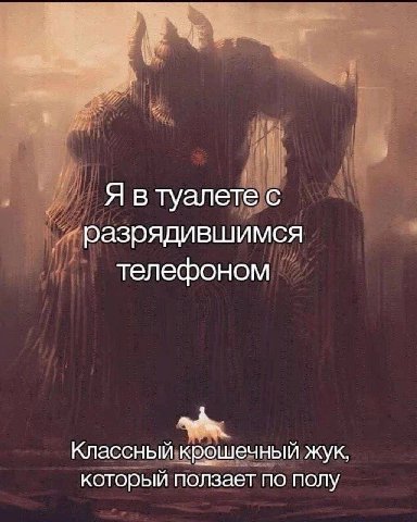 Я в туалете с разрядившимся телефоном Классный крошечный жук, который ползает по полу