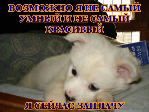 САМЫЙ MAC ЗАПЛАЧУ