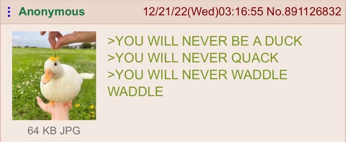 Anonymous 12/21/22(Wed)03:16:55 No.891126832 >YOU WILL NEVER BE A DUCK >YOU WILL NEVER QUACK >YOU WILL NEVER WADDLE WADDLE 64 JPG