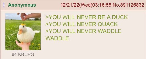 Anonymous 12/21/22(Wed)03:16:55 No.891126832 >YOU WILL NEVER BE A DUCK >YOU WILL NEVER QUACK >YOU WILL NEVER WADDLE WADDLE 64 JPG