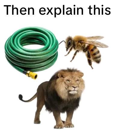Then explain this