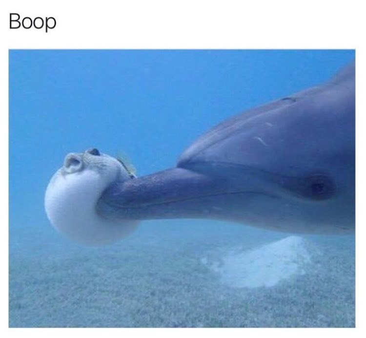 Воор