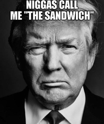 NIGGAS CALL ME SANDWICH