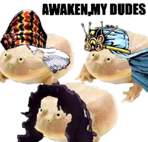 AWAKEN,MY DUDES a>