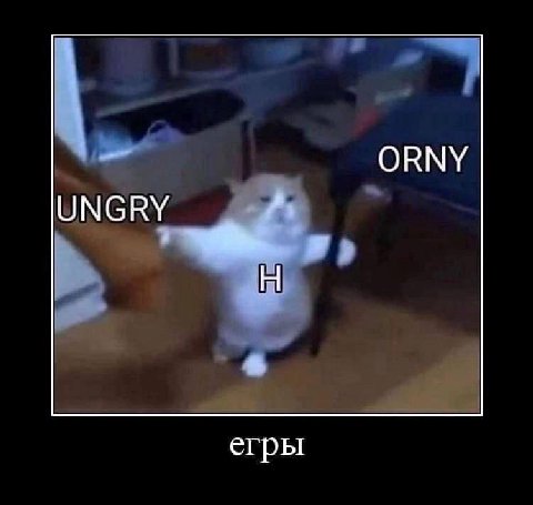 ORNY UNGRY егры