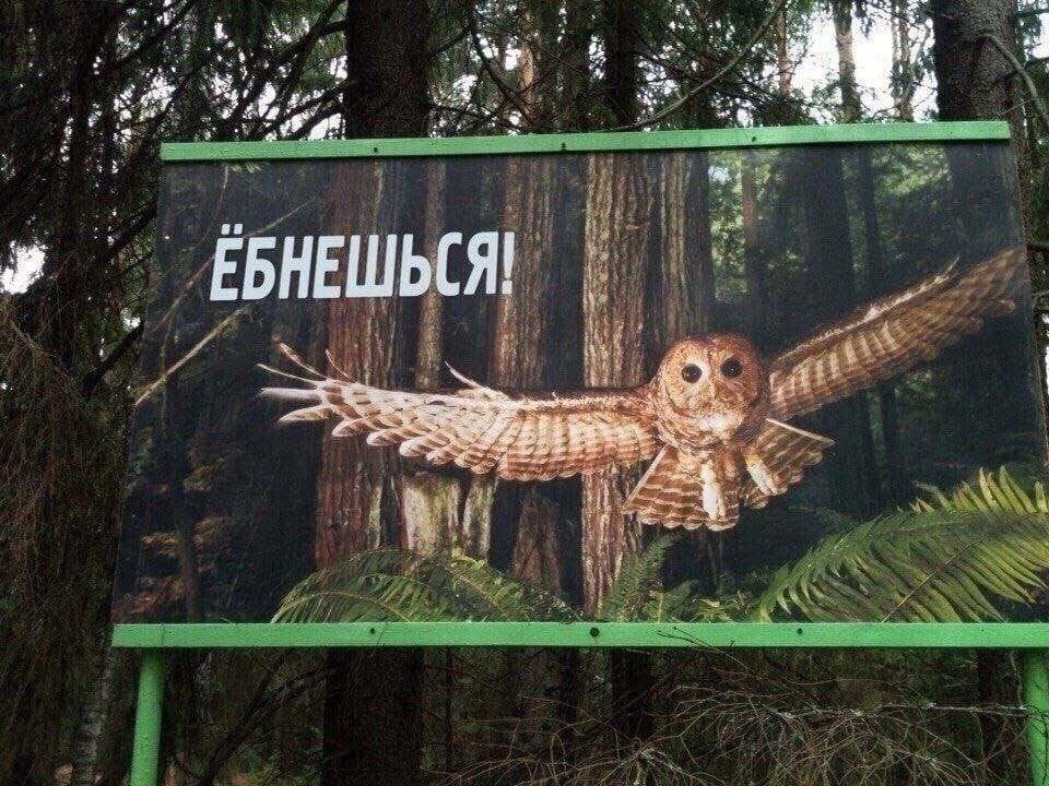 ALi 4 avs ЕБНЕШЬСЯ ths at 4