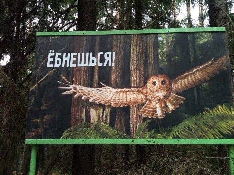 ALi 4 avs ЕБНЕШЬСЯ ths at 4
