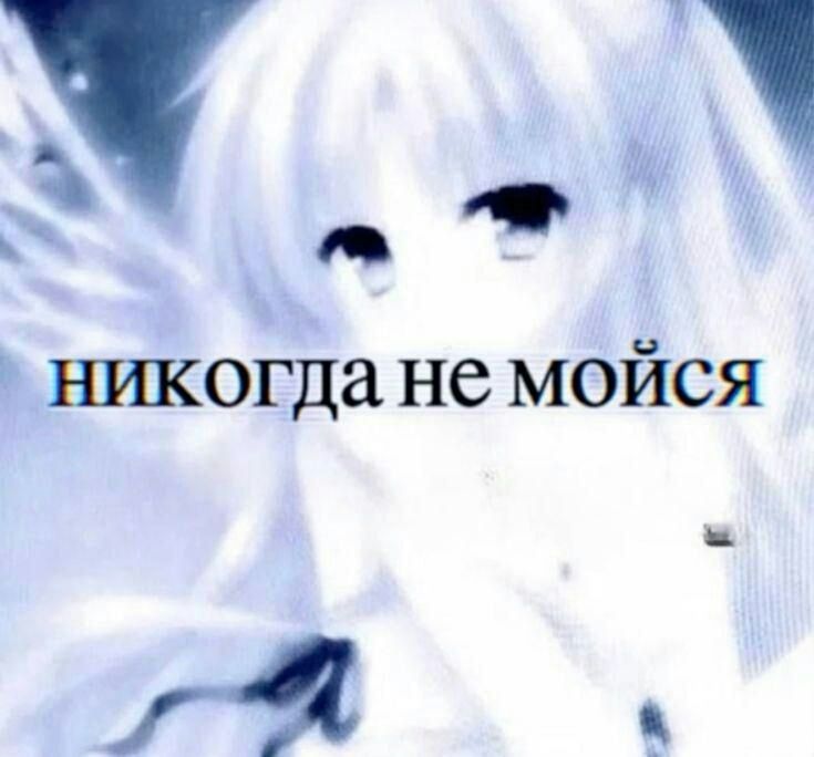 никогда He мойся