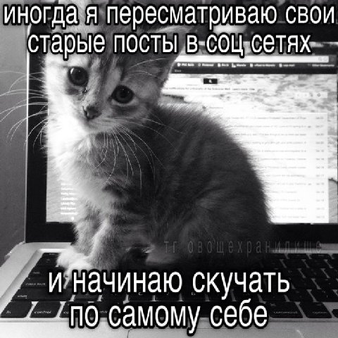 иногда я пересматриваю свои старые ПОСТЫ, В: сетях и начинаю скучать себе
