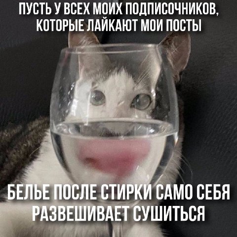 ПУСТЬ У ВСЕХ МОИХ ПОДПИСОЧНИКОВ, КОТОРЫЕ ЛАИКАЮТ МОИ ПОСТЫ 4) 4 A БЕЛЬЕ ПОСЛЕ СТИРКИ САМО СЕБЯ РАЗВЕШИВАЕТ СУШИТЬСЯ