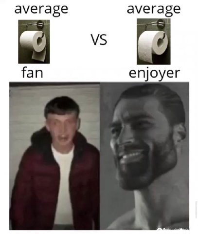 average average fan enjoyer