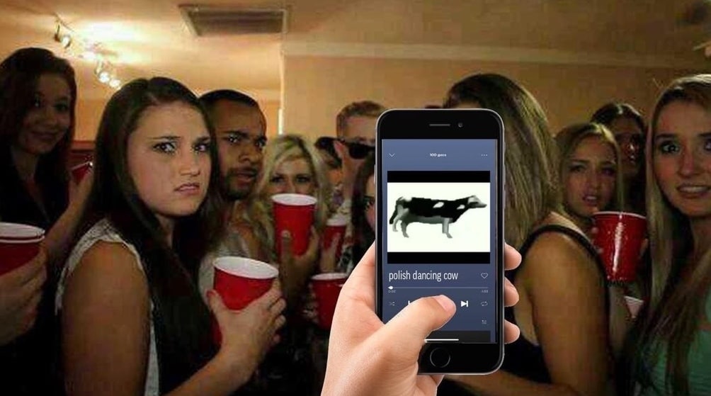polish dancing cow