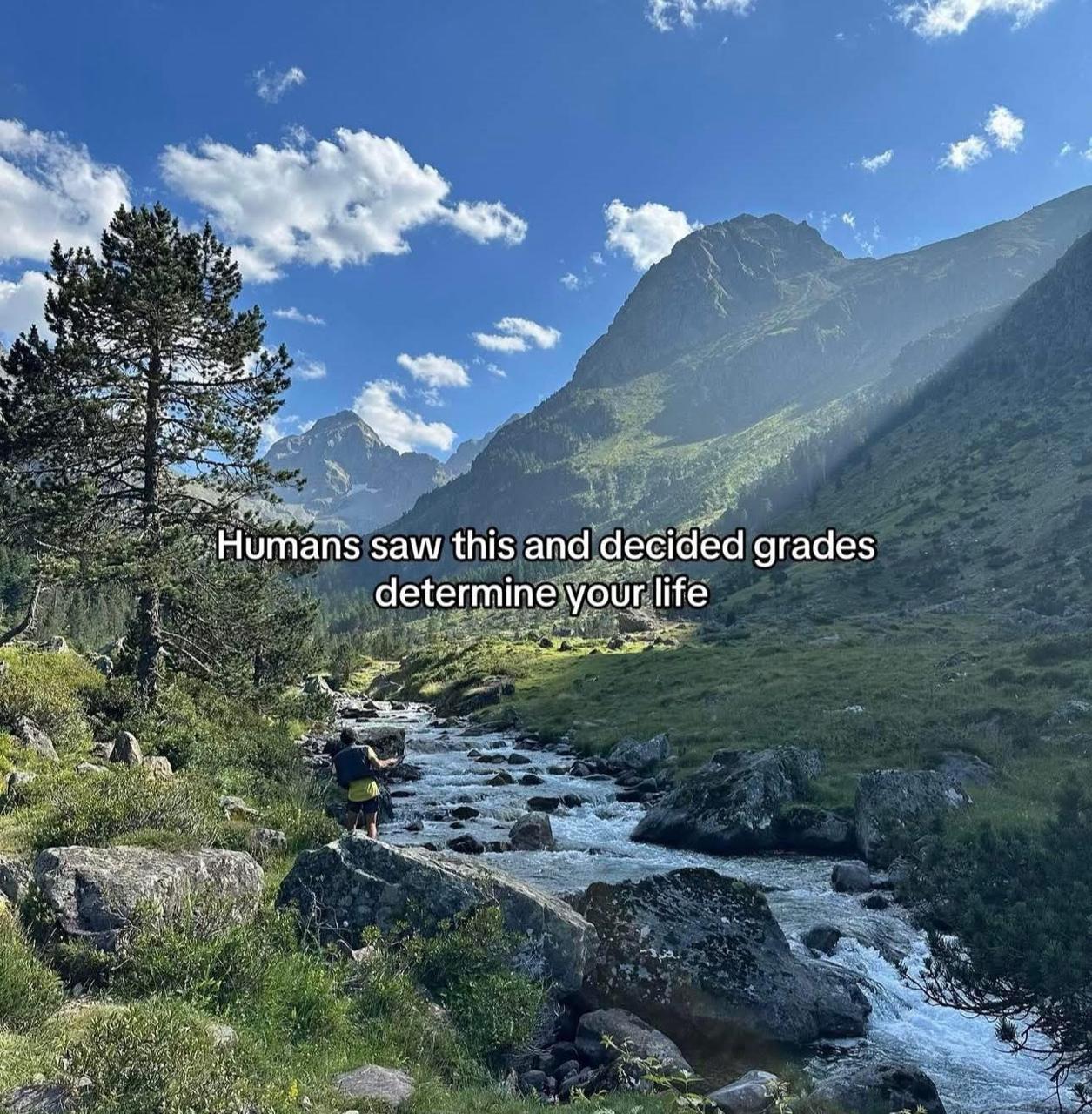 saw this and decided grades determine your life