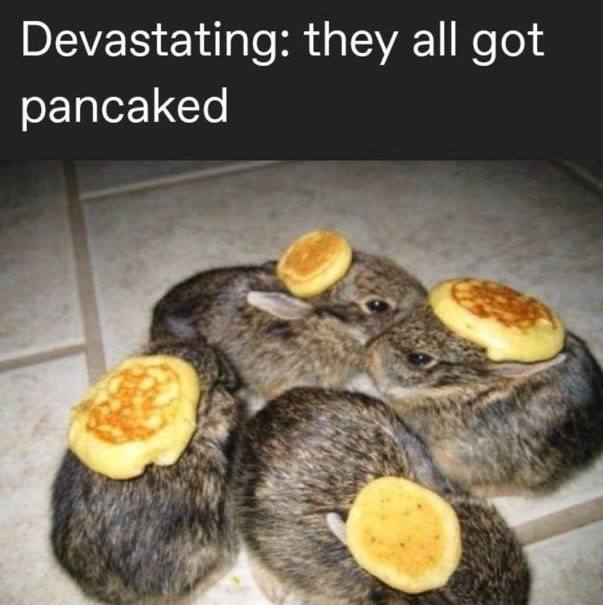 Devastating: they all got pancaked