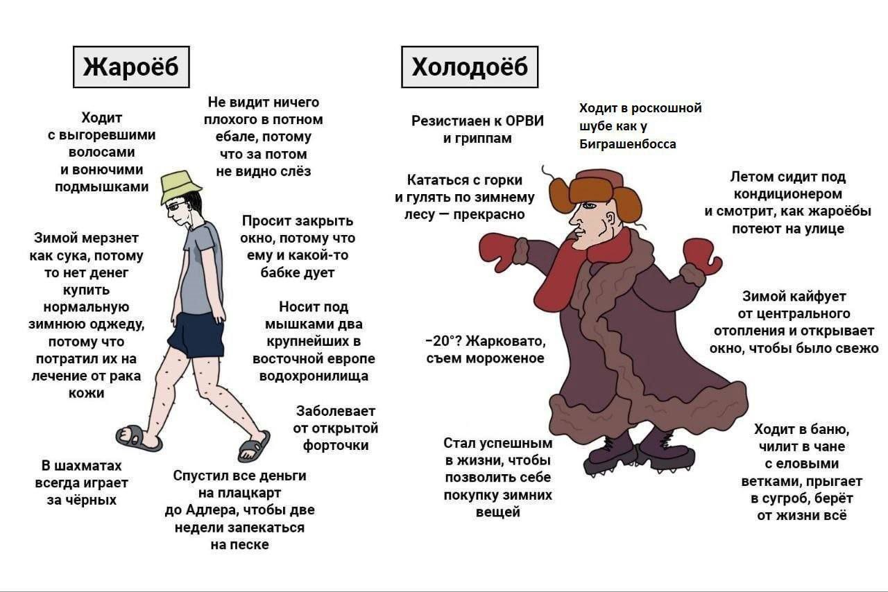 Жароёб Холодоёб Не видит ничего Ходит в роскошной Ходит плохого в потном Резистиаен к ОРВИ шубе каку ебале, потому и гриппам Биграшенбосса волосами что за потом и вонючими не видно слёз Кататься с гор