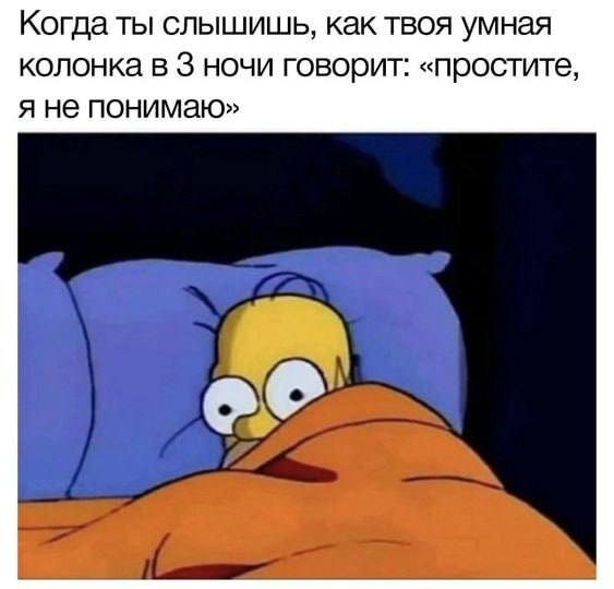 Когда ты слышишь, как твоя умная колонка в 3 ночи говорит: «простите, я не понимаю»