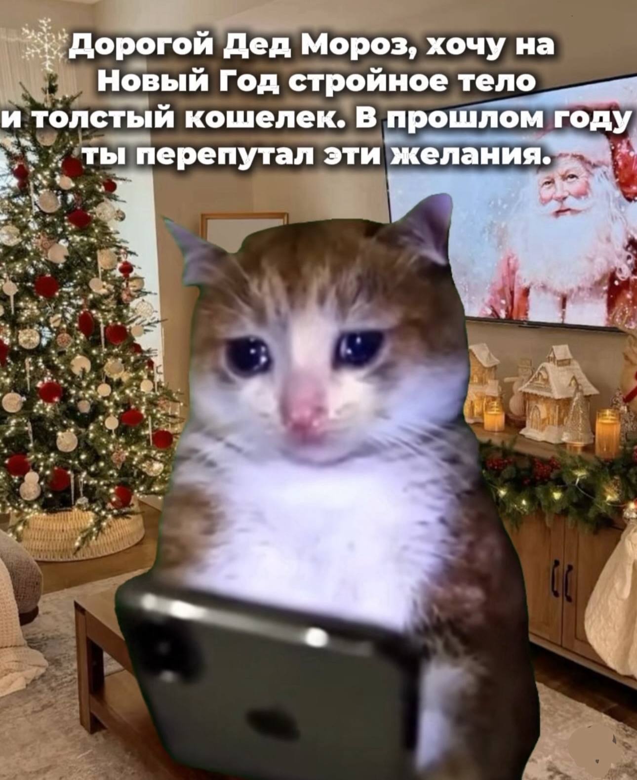 Дорогой Дед Мороз, хочу на Новый Год строиное тело и толстый кошелек. В прошлом году ты перепутал эти желания. К ‘if у с