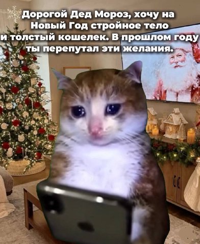 Дорогой Дед Мороз, хочу на Новый Год строиное тело и толстый кошелек. В прошлом году ты перепутал эти желания. К ‘if у с