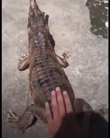 мем