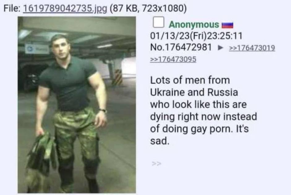 File: (87 Anonymous 01/13/23(Fri)23:25:11 No.176472981 >>176473019 Lots of men from Ukraine and Russia who look like this are dying right now instead of doing gay porn. It's sad.