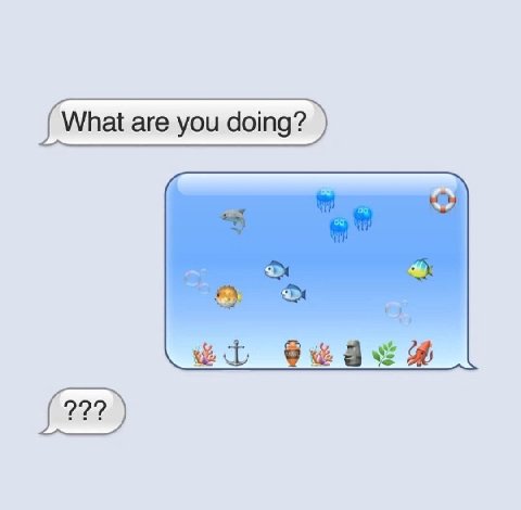 What are you doing?