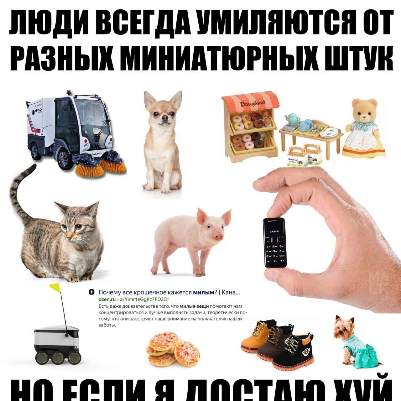 ЛЮДИ ВСЕГДА УМИЛЯЮТСЯ РАЗНЫХ МИНИАТЮРНЫХ ШТУЕ И A Почему все крошечное кажется милым? Кана... dzen.ru Есть даже доказательства Toro, что милые вещи помогают нам концентрироваться и лучше выполнять зад