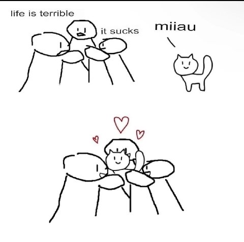 life is